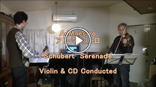 Schubert serenade